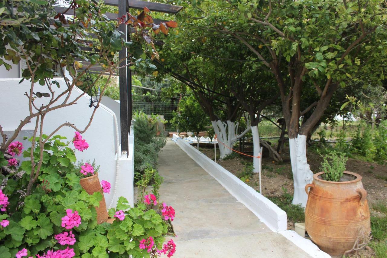 פרמאנה Aaron Apartments מראה חיצוני תמונה